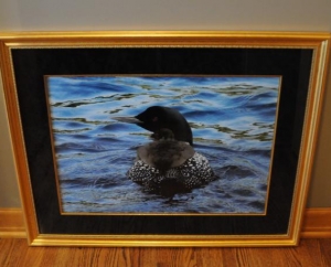 AU Leaf Loon & Baby  25x32  Beautiful $1500.
