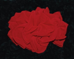 Becca Bow chiffon $30.00 and up