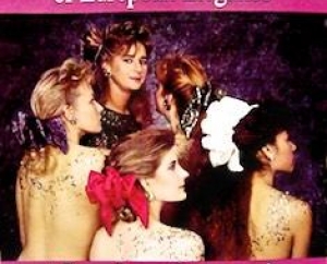 THE BECCA BOW COMPANY